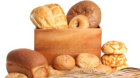 Best Bread Box For Sourdough of 2025: Top 6 Picks Best Bread Box For Sourdough of 2025: Top 6 Picks