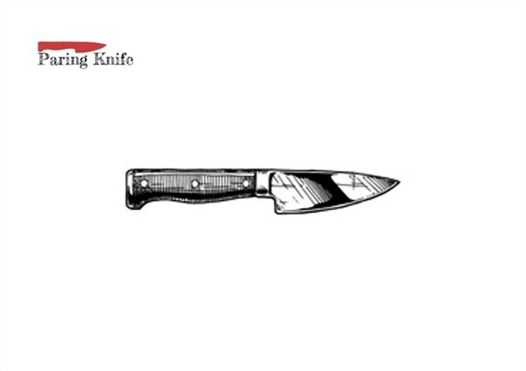 Different Types Of Knives And Their Uses With Pictures Different Types Of Knives And Their Uses With Pictures