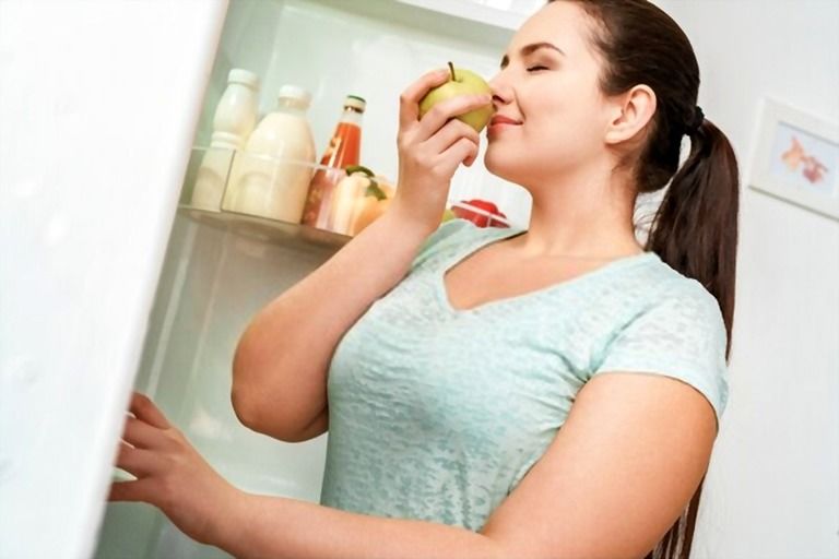 Different Types Of Refrigerators Different Types Of Refrigerators