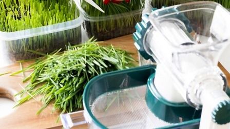 6 Best Juicers For Wheatgrass of 2026