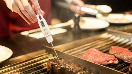 6 Best Meat Thermometers For Grilling of 2026
