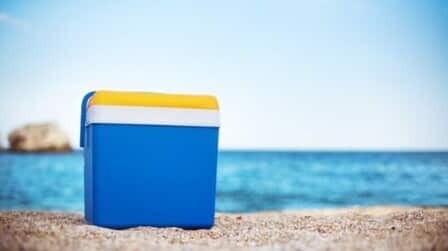 6 Best Lightweight Coolers of 2025
