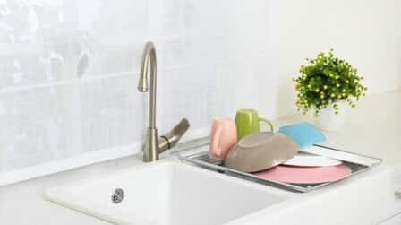 6 Best In-Sink Dish Racks of 2025