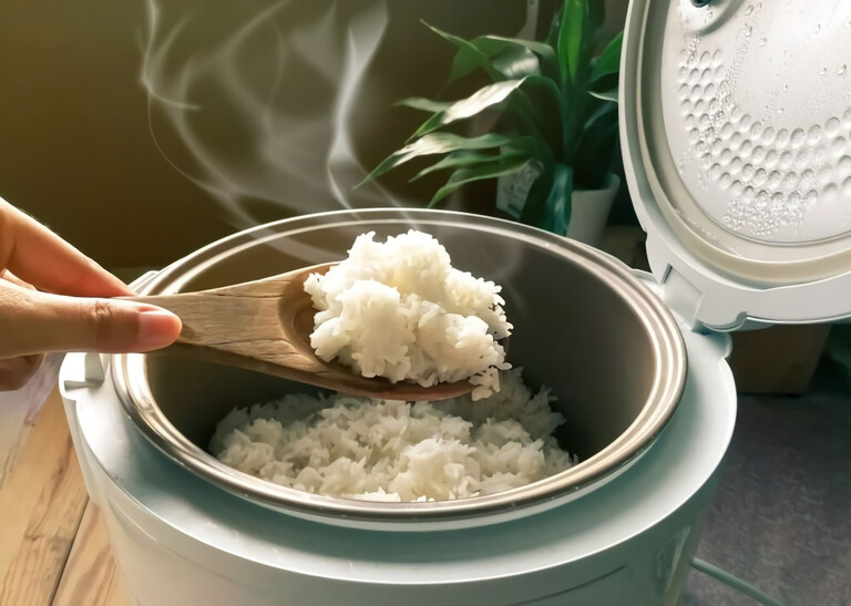 10 Best Rice Cooker Brands of 2025 10 Best Rice Cooker Brands of 2025